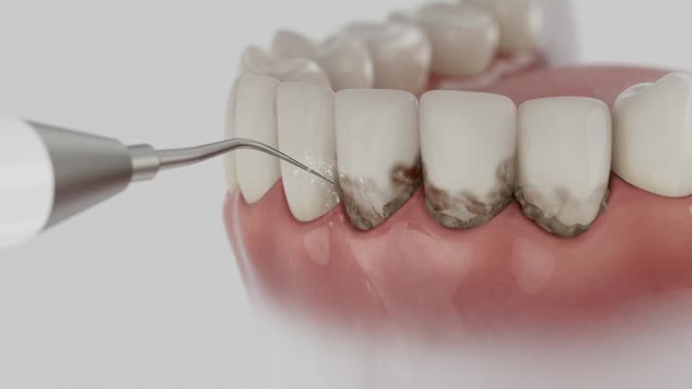 Reliable Dental contractor in Walkersville, MD by Dentist Open Now